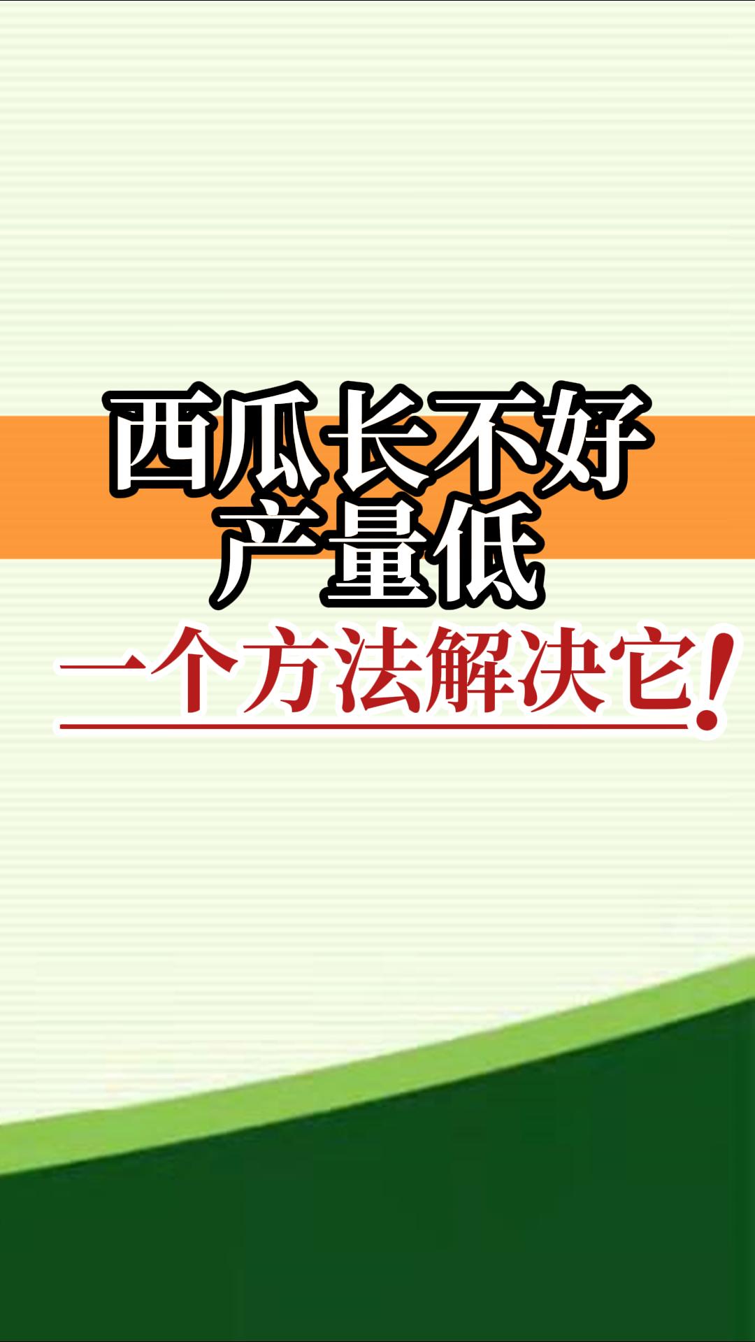 西瓜長不好產(chǎn)量低？