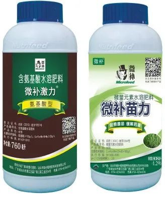 讓作物安全過(guò)冬的實(shí)用小妙招，速看