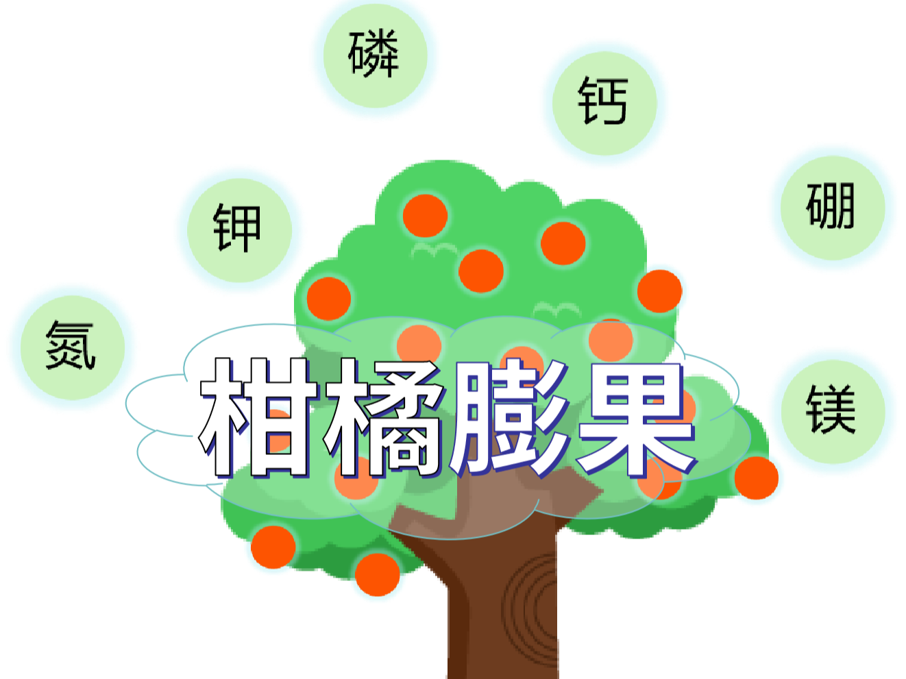 柑橘膨果慢？找準原因，“對癥下藥”